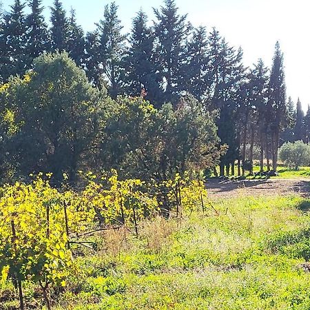 Maison Village Vacances Demeures Du Ventoux Обиньон Екстериор снимка