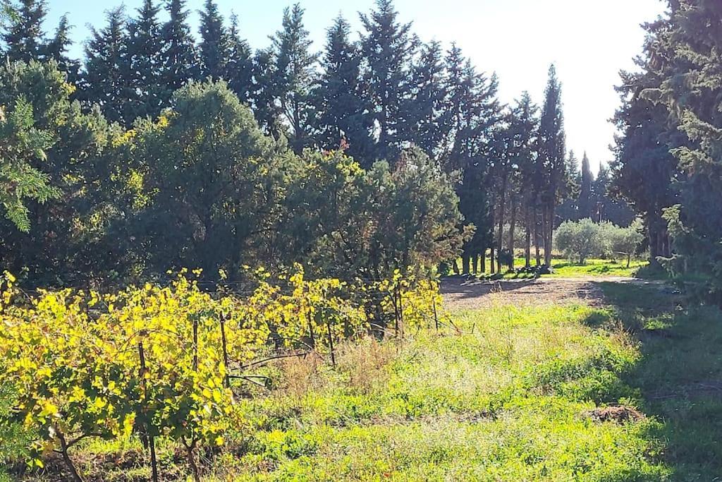 Maison Village Vacances Demeures Du Ventoux Обиньон Екстериор снимка