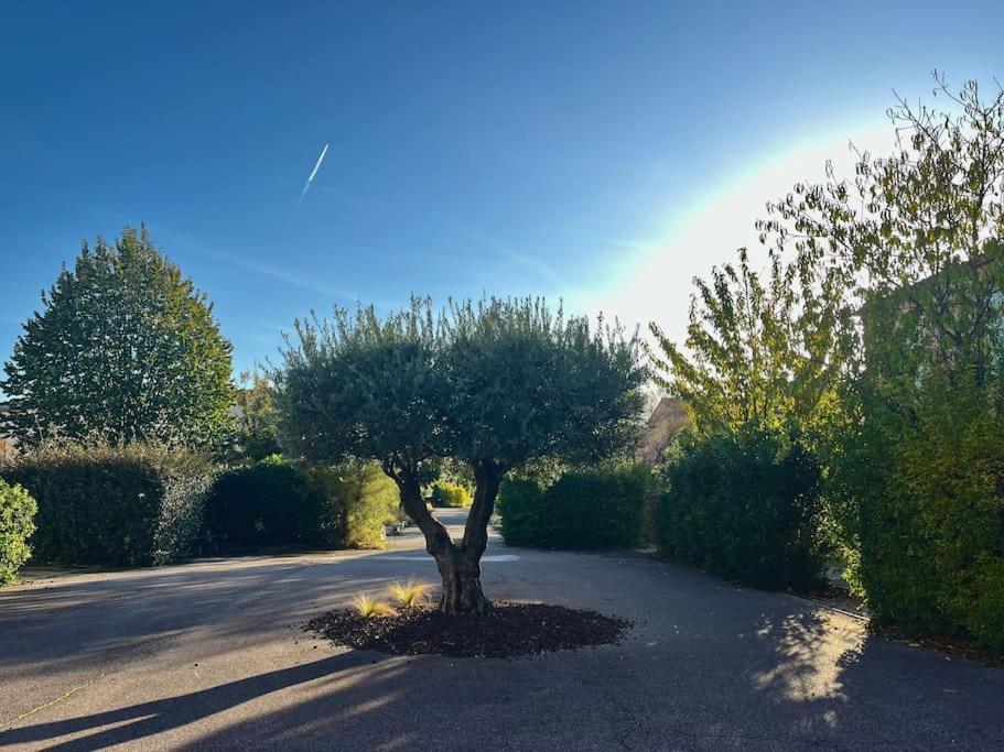 Maison Village Vacances Demeures Du Ventoux Обиньон Екстериор снимка