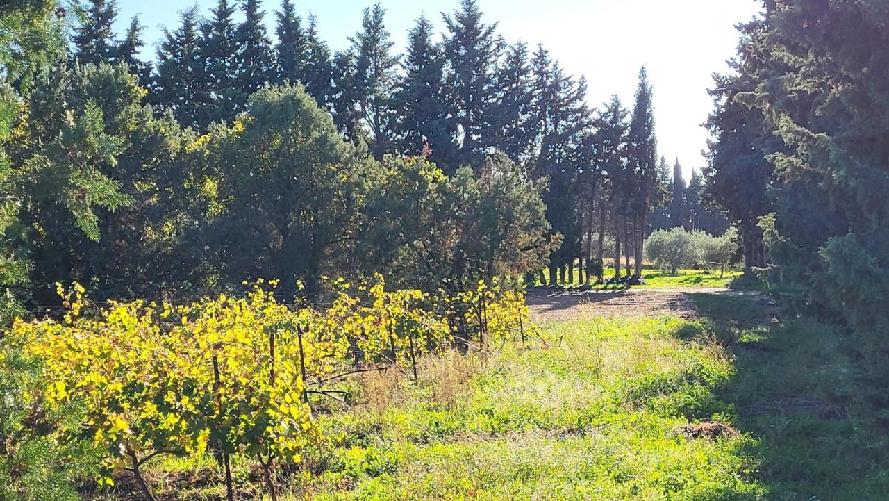 Maison Village Vacances Demeures Du Ventoux Обиньон Екстериор снимка